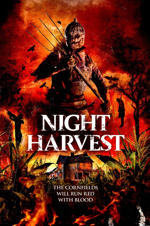 Night Harvest